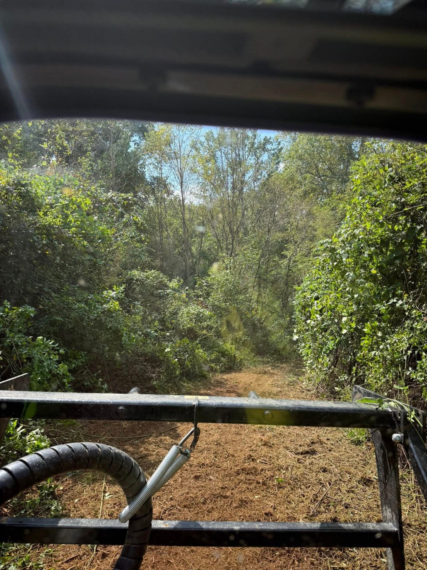 UTV cab view of a freshly cleared trail through dense brush